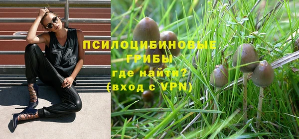 Альфа ПВП Няндома