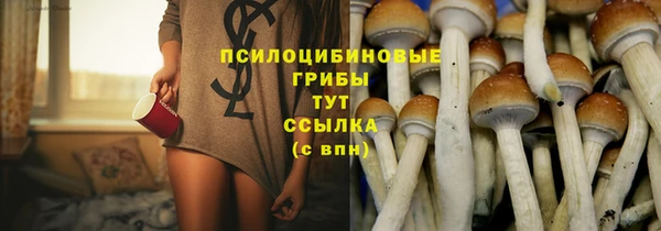 марки nbome Новодвинск