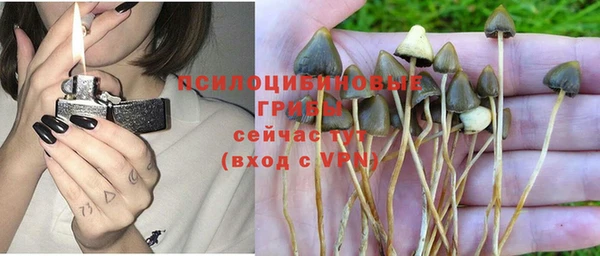 марки nbome Новодвинск