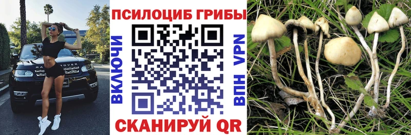 Галлюциногенные грибы GOLDEN TEACHER  Югорск 