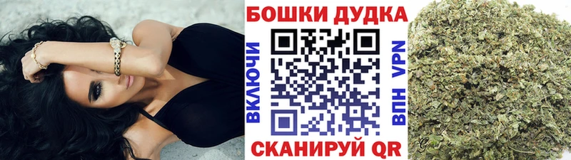 Канабис семена Югорск